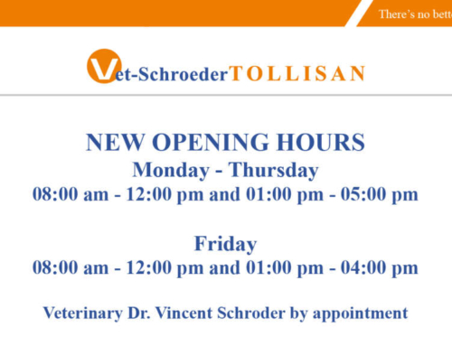 New Openings Hours